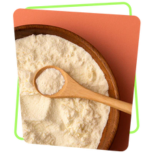 Collagen Protein
